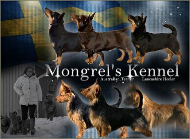 Mongrels kennel sales